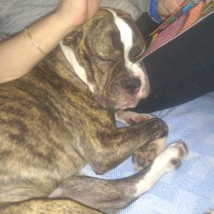 Meet your Posher, Dannielle